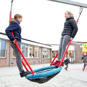 De IJsselster